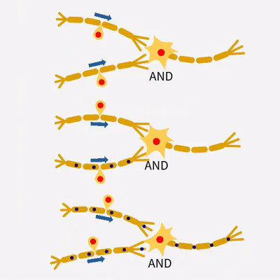 AND Neuron